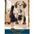 Gương soi toàn thân Puppy 75x170 cm
